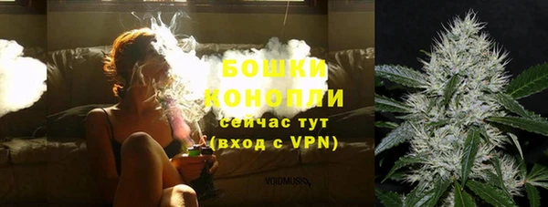 мяу мяу мука Иннополис