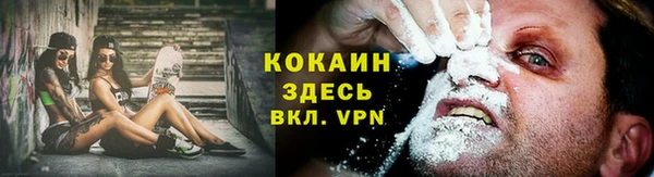 твердый Инта