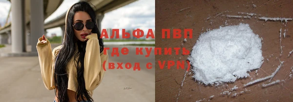 твердый Инта