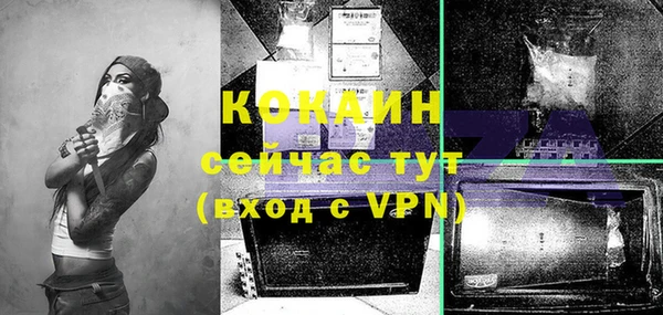 ALPHA-PVP Инсар