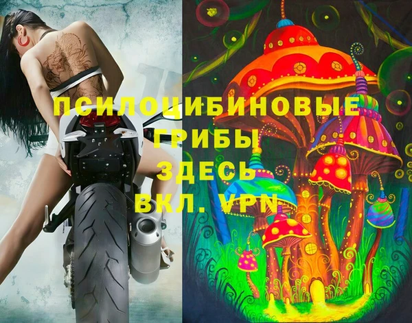 твердый Инта