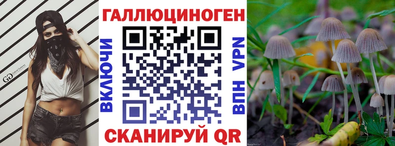 Купить закладки  Зея  Псилоцибиновые грибы MAGIC MUSHROOMS 